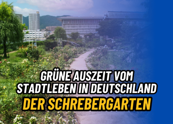 Schrebergarten in Deutschland