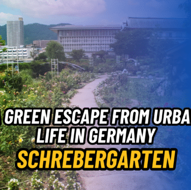 Schrebergarten Guide: How to Rent an Allotment Garden in Germany