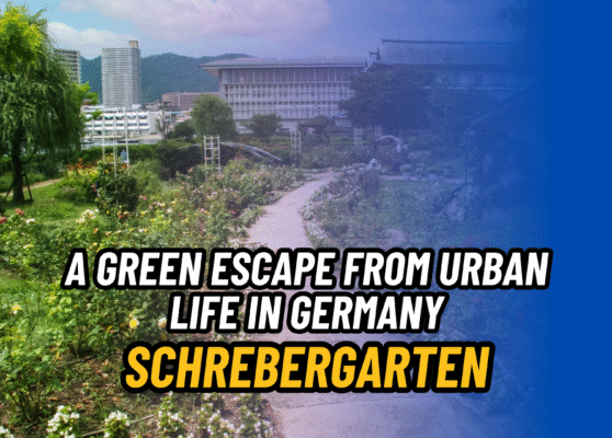 Schrebergarten Guide: How to Rent an Allotment Garden in Germany Schrebergarten Guide: How to Rent an Allotment Garden in Germany